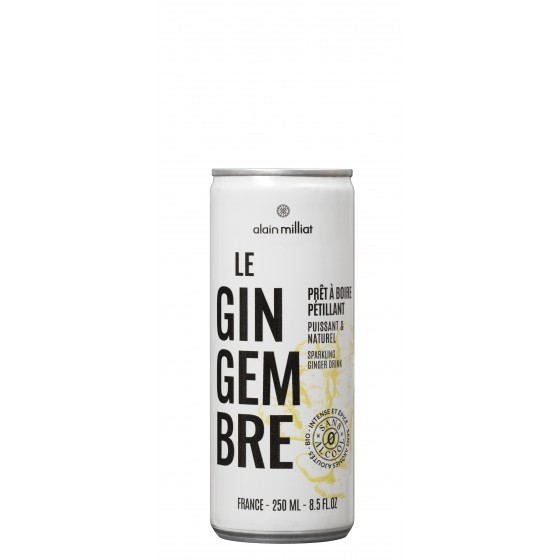 Refresco de jengibre con gas BIO 25 cl